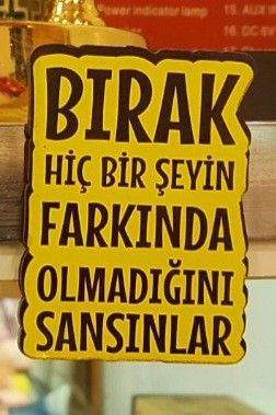 Bırak hiç bir şey bilmiyor zannetsinler...